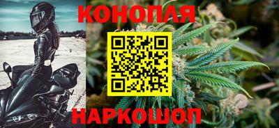 стаф Донецк