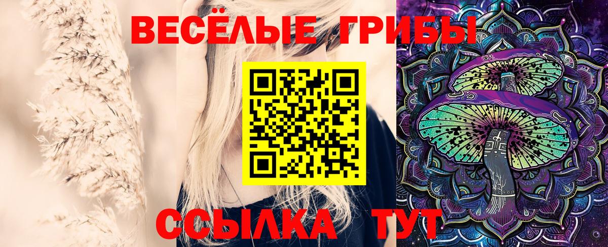 Кызыл  Псилоцибиновые грибы Psilocybine cubensis  Вход с VPN  Псилоцибиновые грибы прущие грибы 